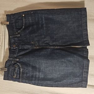 Citizens of Humanity Denim Skirt / 30